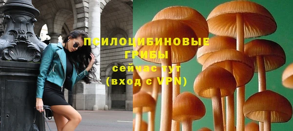 a pvp Михайлов