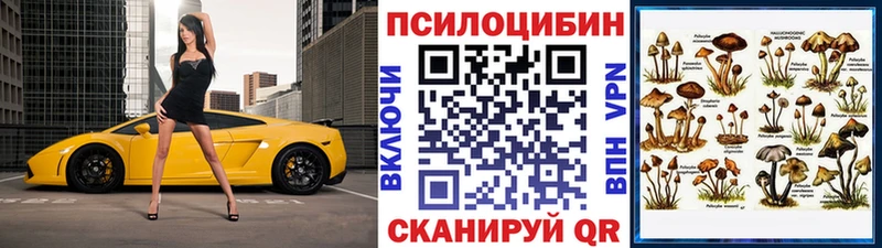 Галлюциногенные грибы мухоморы  hydra ТОР  Назрань  магазин   