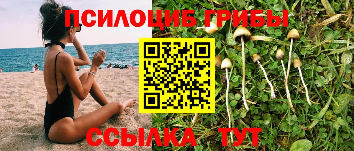 Псилоцибиновые грибы Psilocybe Назрань