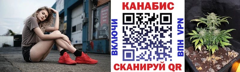 Бошки марихуана план Назрань