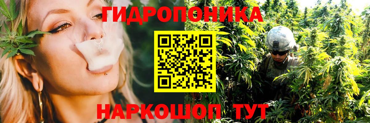 Бошки Шишки AK-47  Бошки Шишки семена  Канабис AK-47  Назрань  Вход с VPN  Каннабис VHQ 